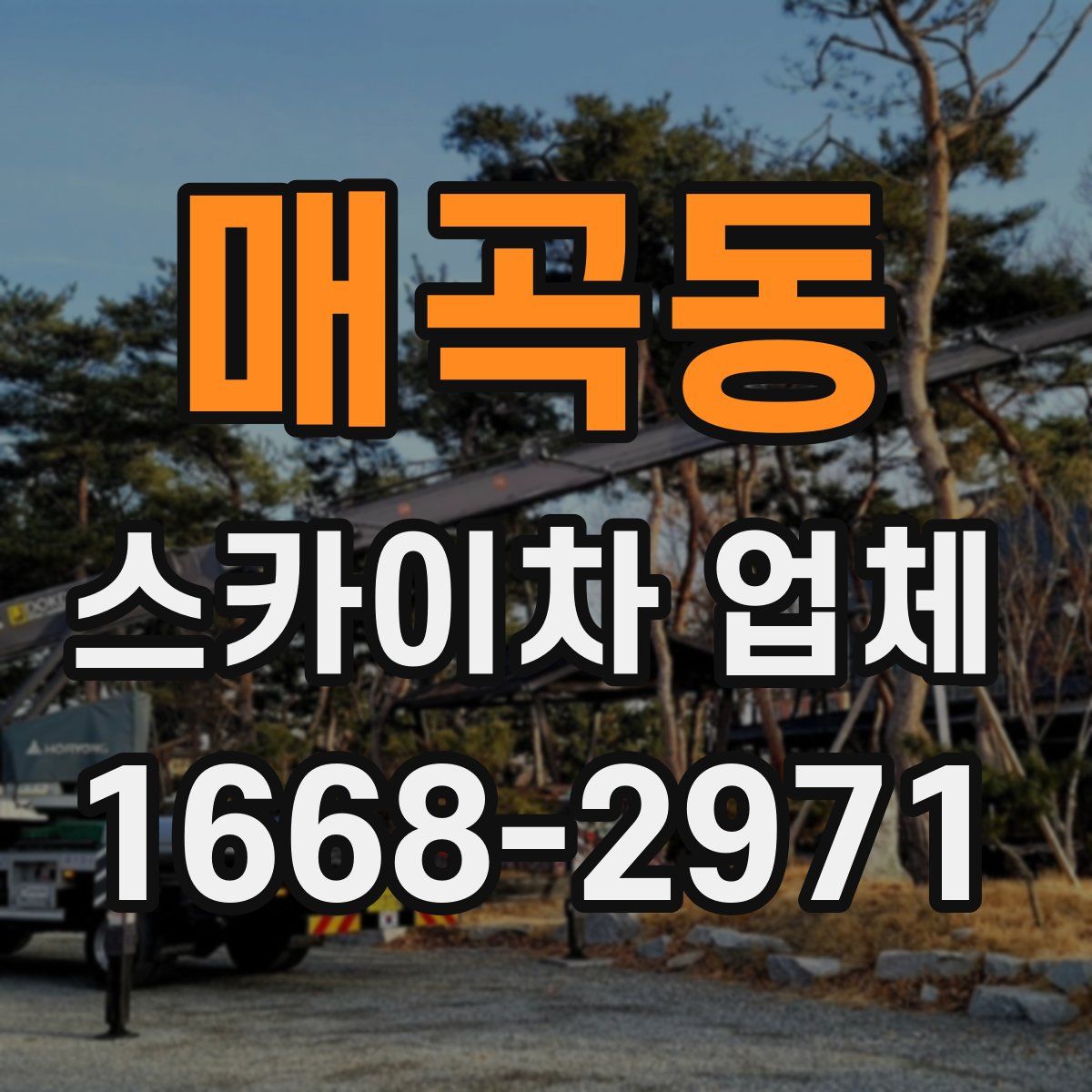 매곡동 스카이차 업체