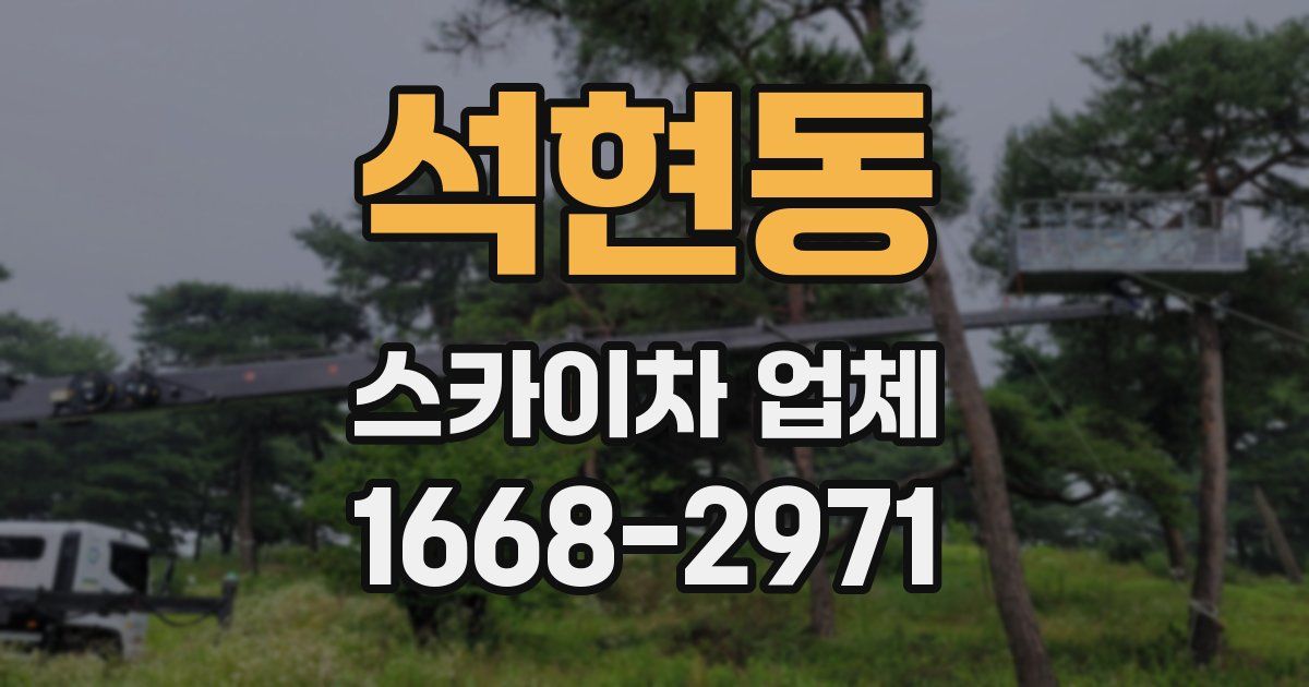 석현동 스카이차 업체