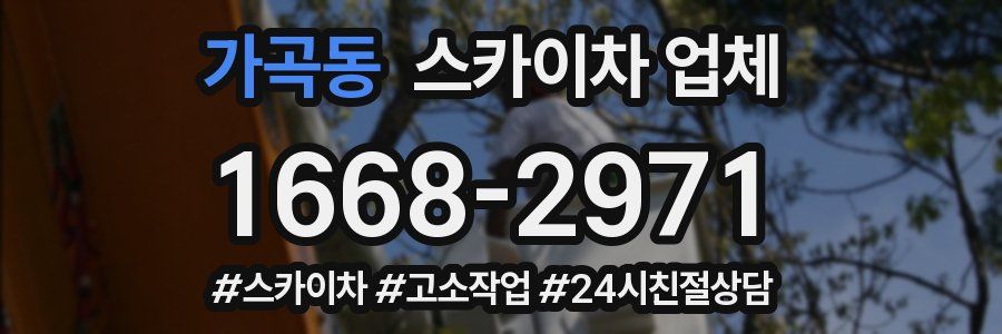 가곡동 스카이차 업체