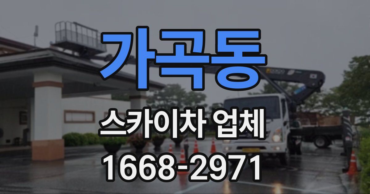 가곡동 스카이차 업체