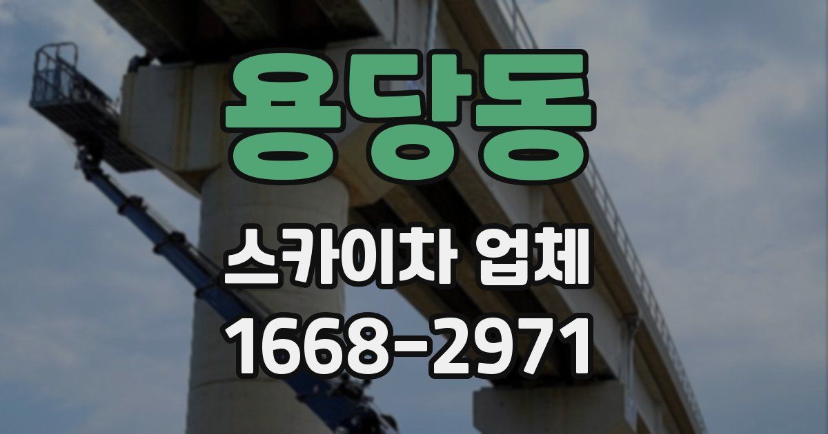 용당동 스카이차 업체