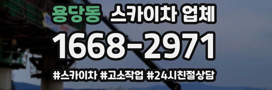 용당동 스카이차 업체