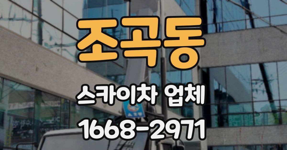 조곡동 스카이차 업체