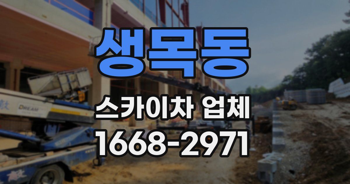 생목동 스카이차 업체