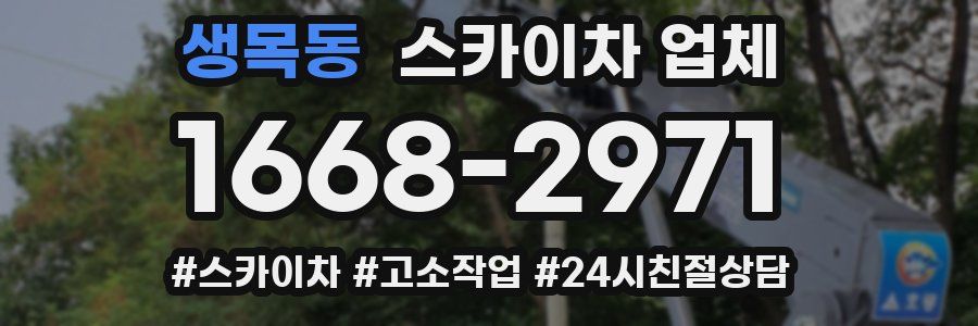 생목동 스카이차 업체