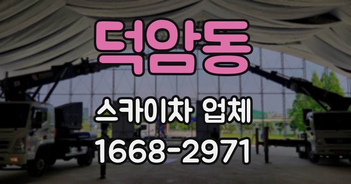 덕암동 스카이차 업체
