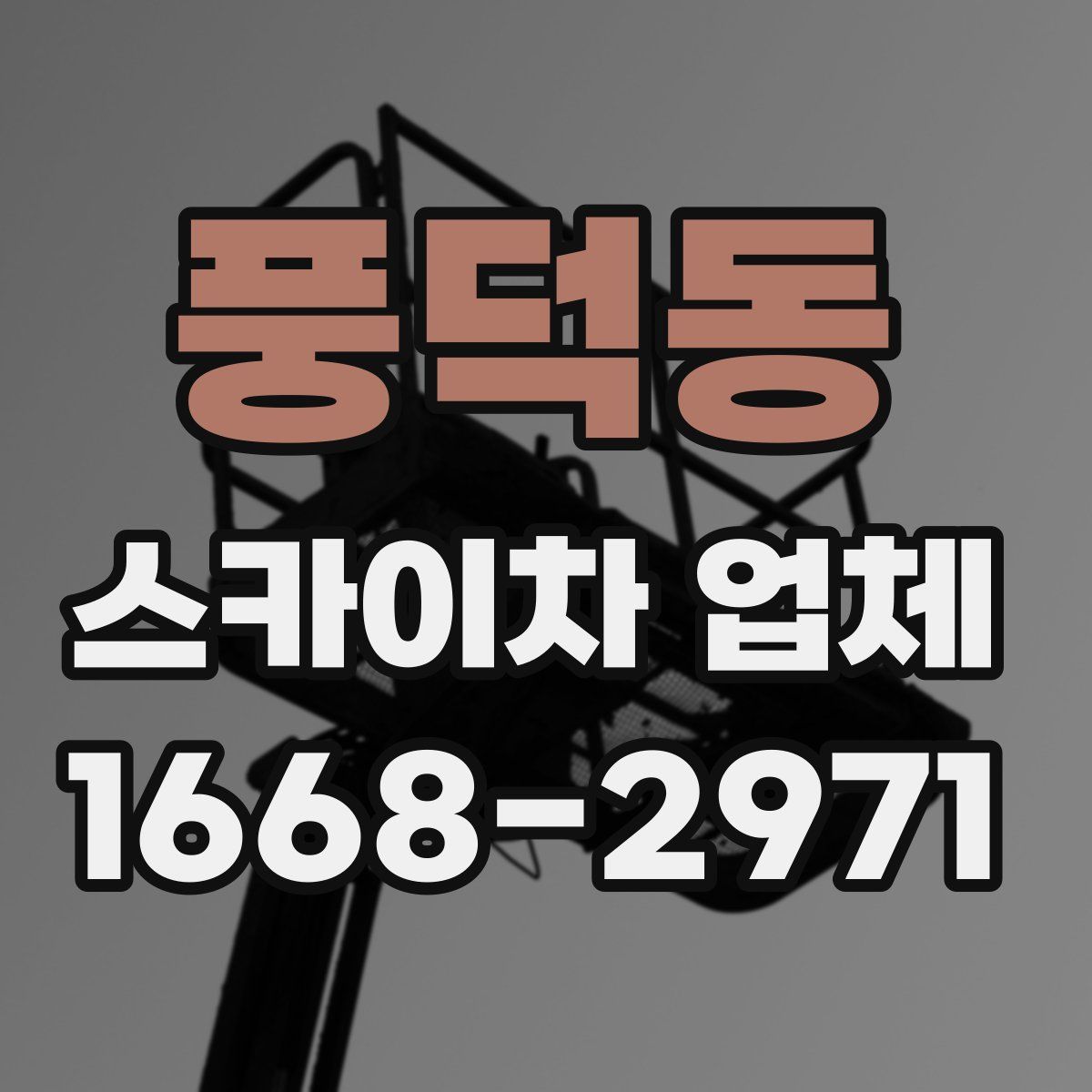 풍덕동 스카이차 업체