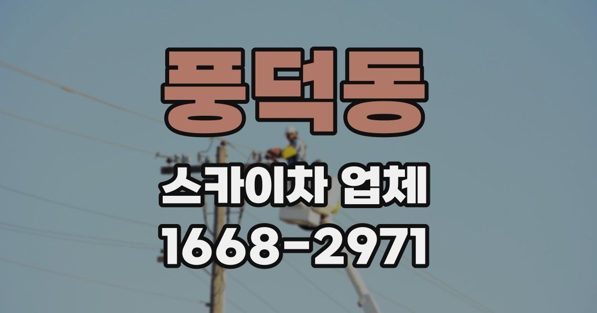 풍덕동 스카이차 업체