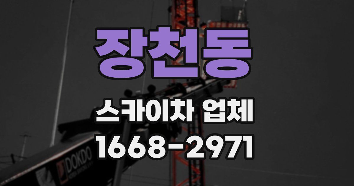 장천동 스카이차 업체