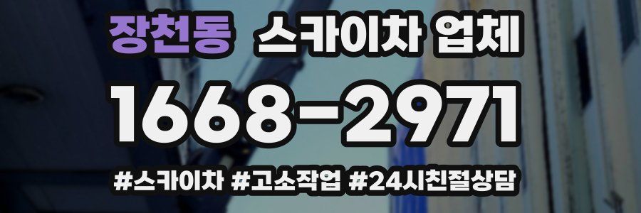 장천동 스카이차 업체