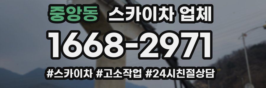 중앙동 스카이차 업체