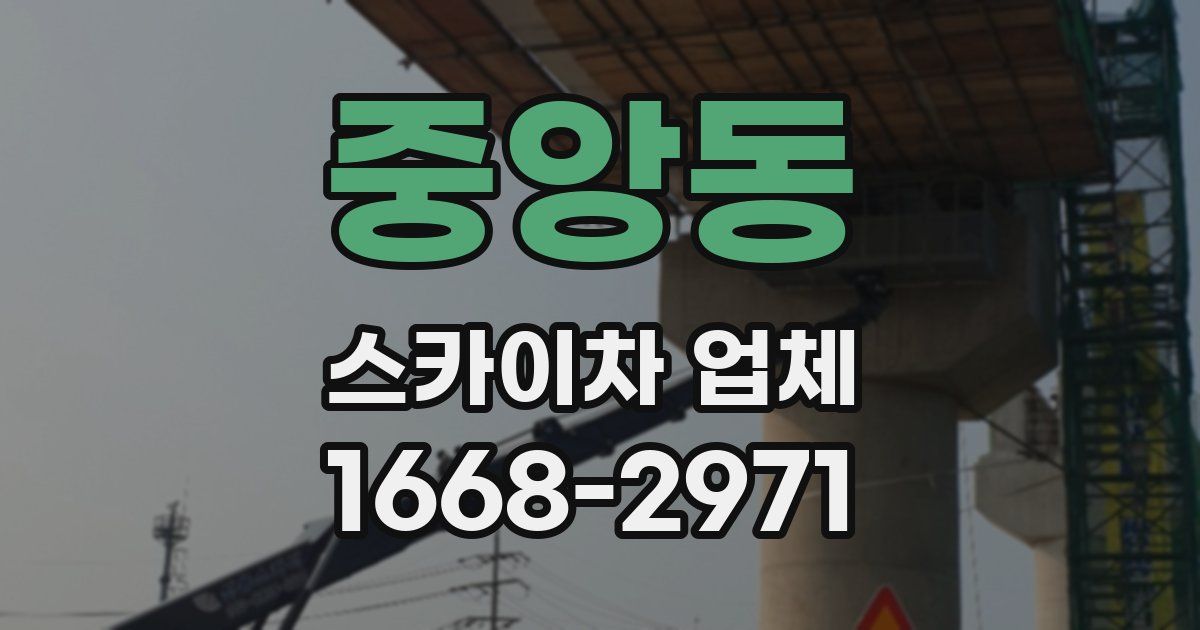 중앙동 스카이차 업체