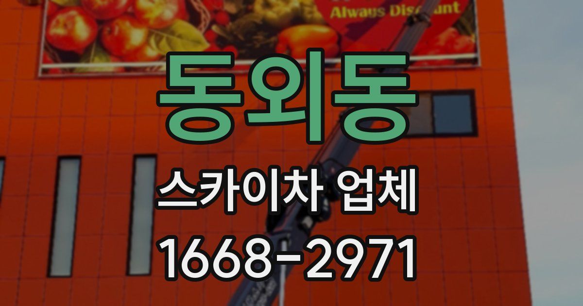 동외동 스카이차 업체