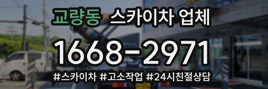 교량동 스카이차 업체