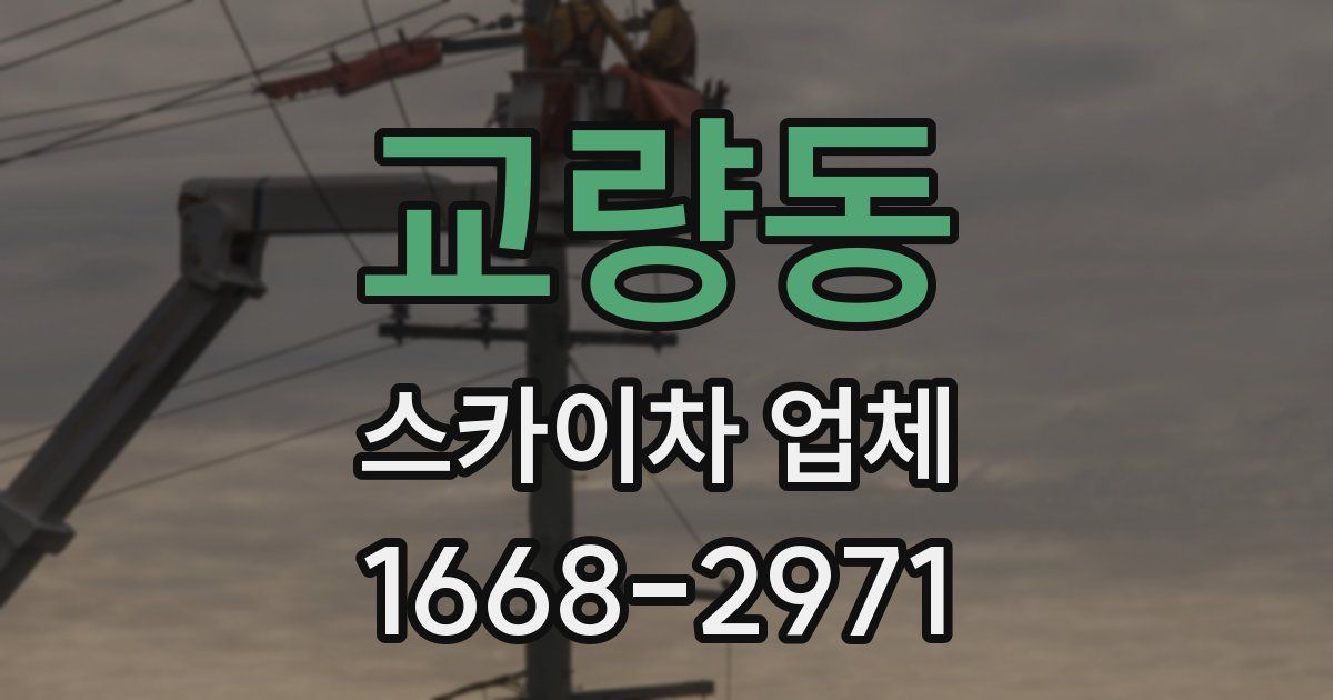 교량동 스카이차 업체