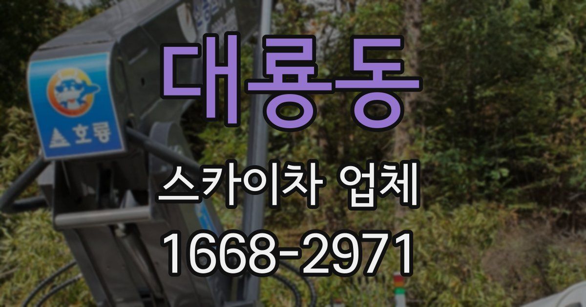 대룡동 스카이차 업체