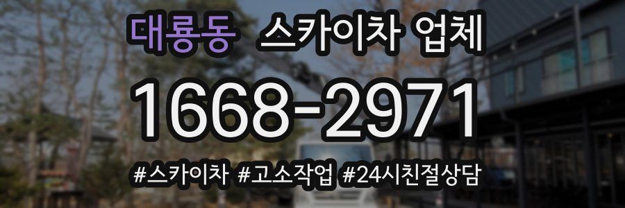 대룡동 스카이차 업체