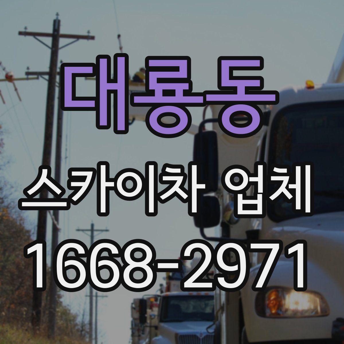 대룡동 스카이차 업체