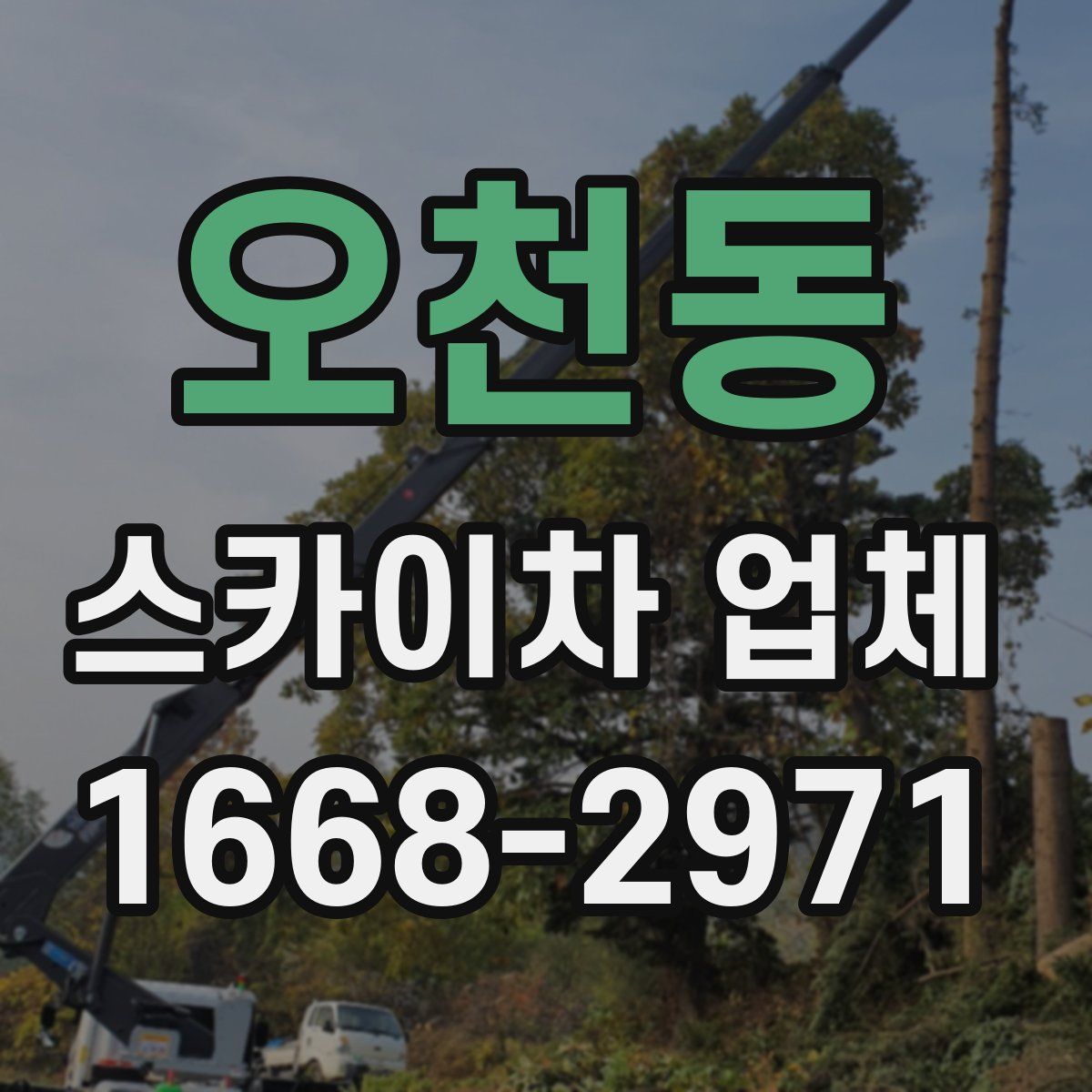 오천동 스카이차 업체