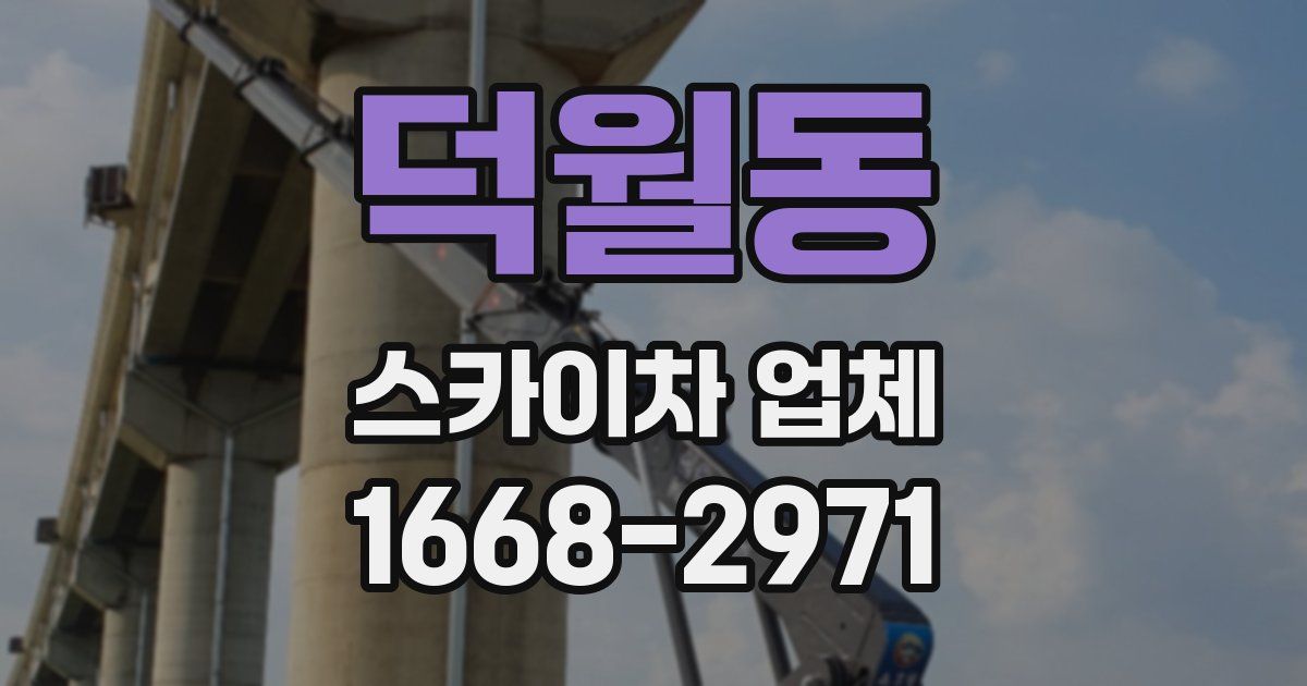 덕월동 스카이차 업체