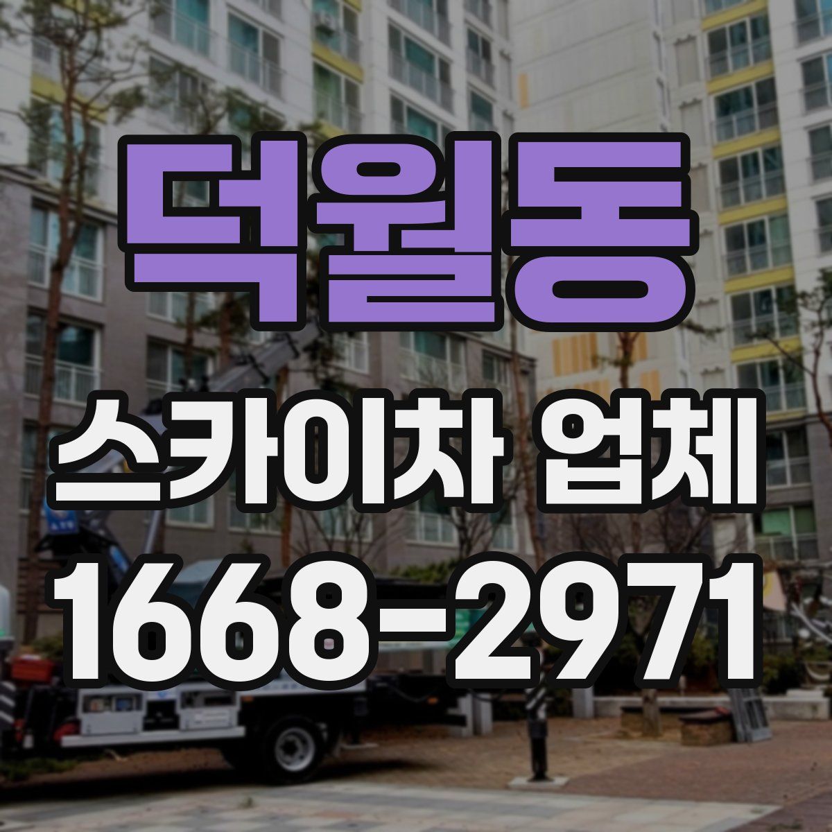 덕월동 스카이차 업체