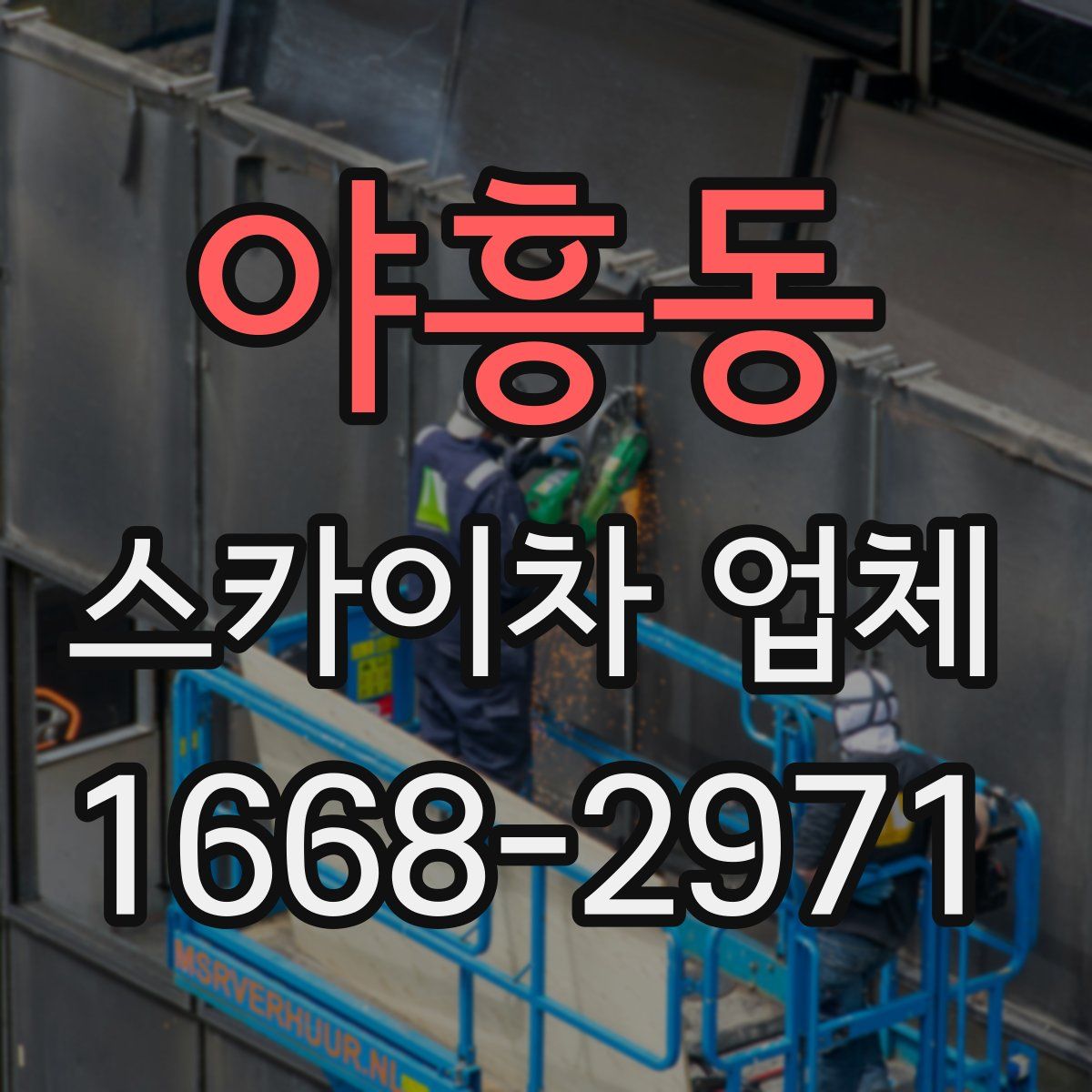 야흥동 스카이차 업체