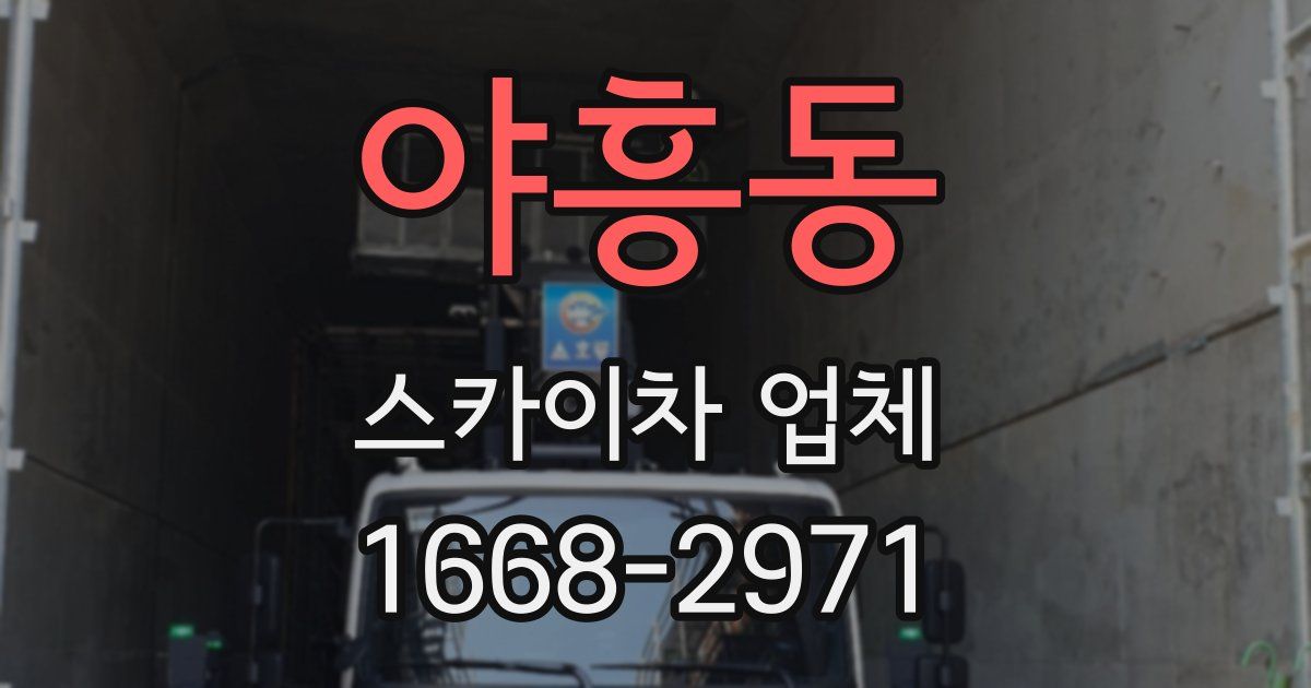 야흥동 스카이차 업체