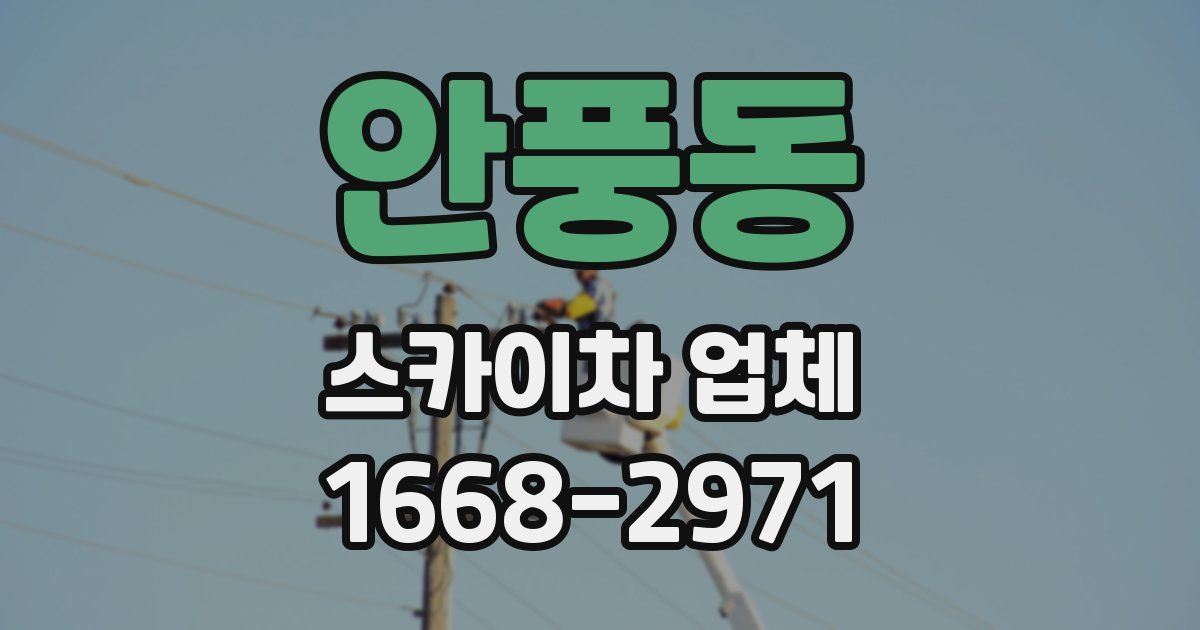 안풍동 스카이차 업체