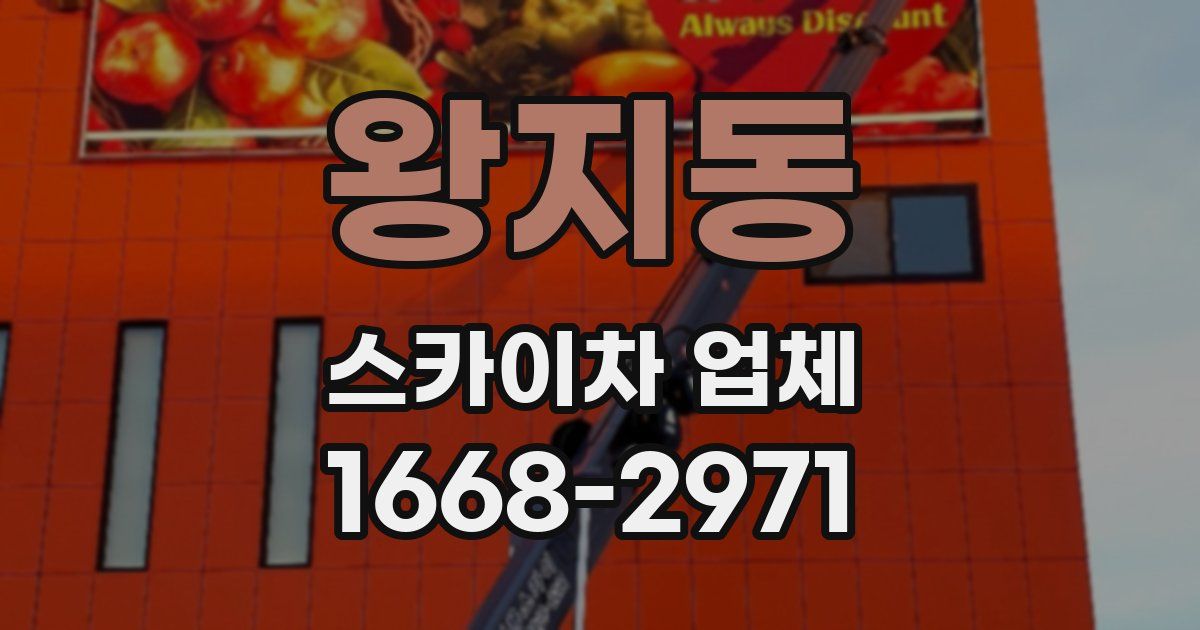 왕지동 스카이차 업체