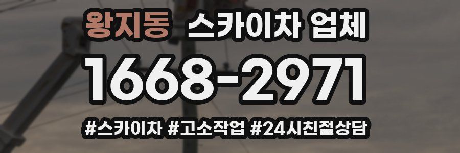 왕지동 스카이차 업체