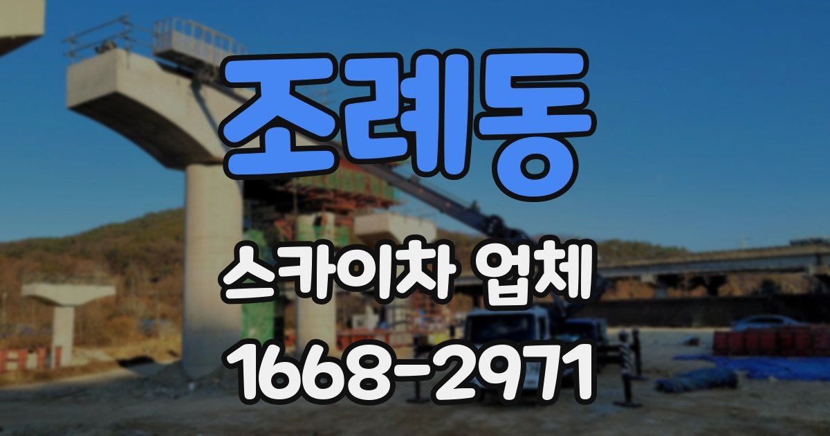 조례동 스카이차 업체