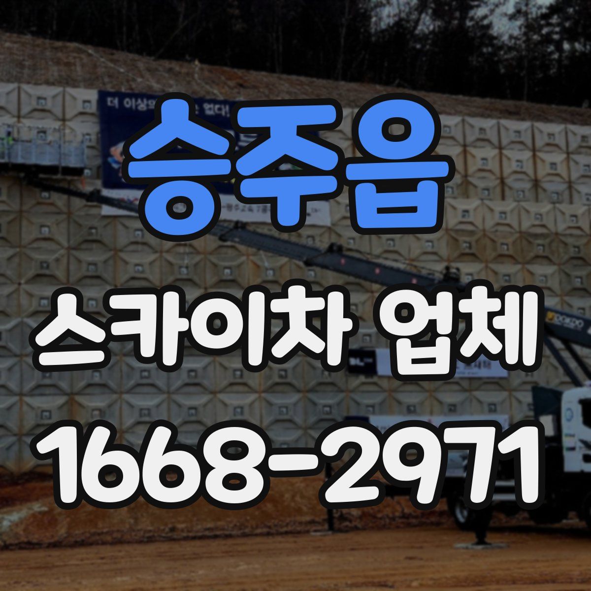 승주읍 스카이차 업체