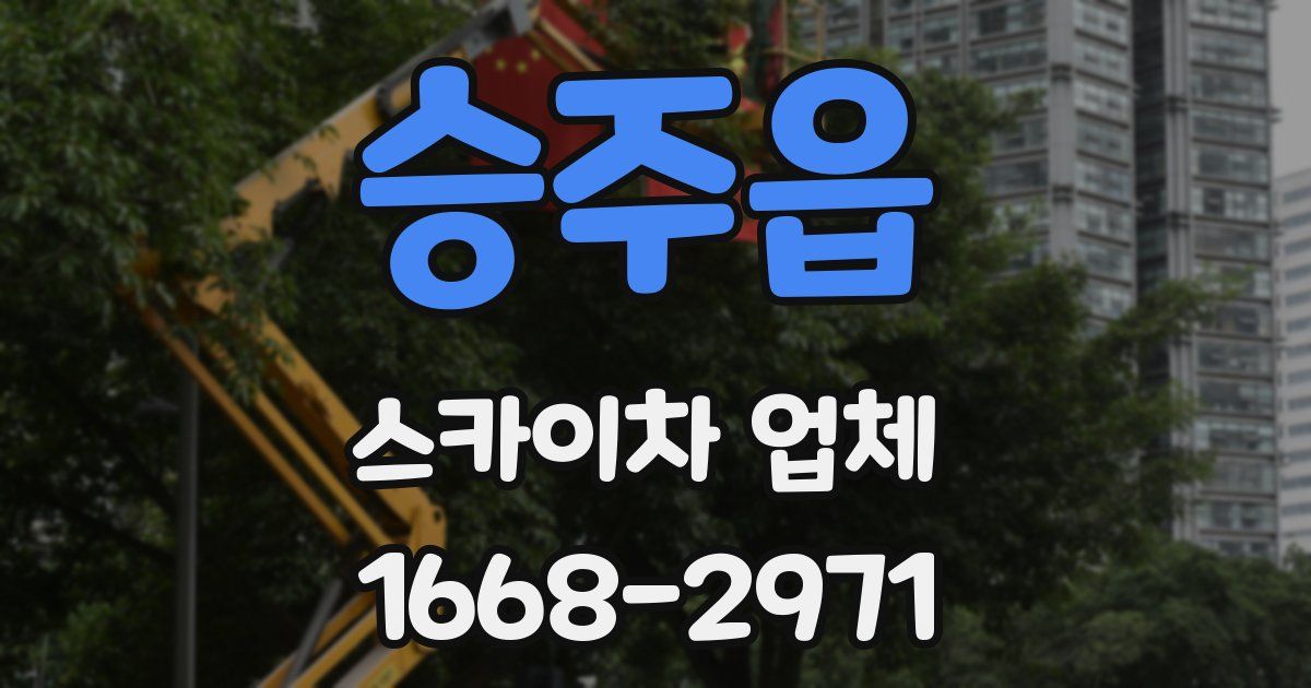 승주읍 스카이차 업체