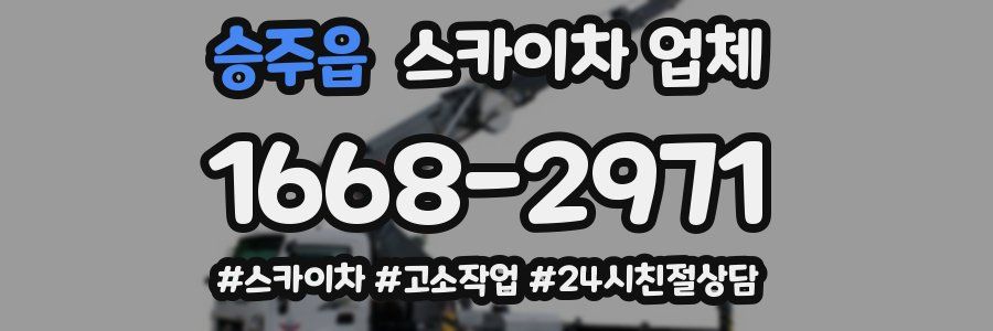 승주읍 스카이차 업체