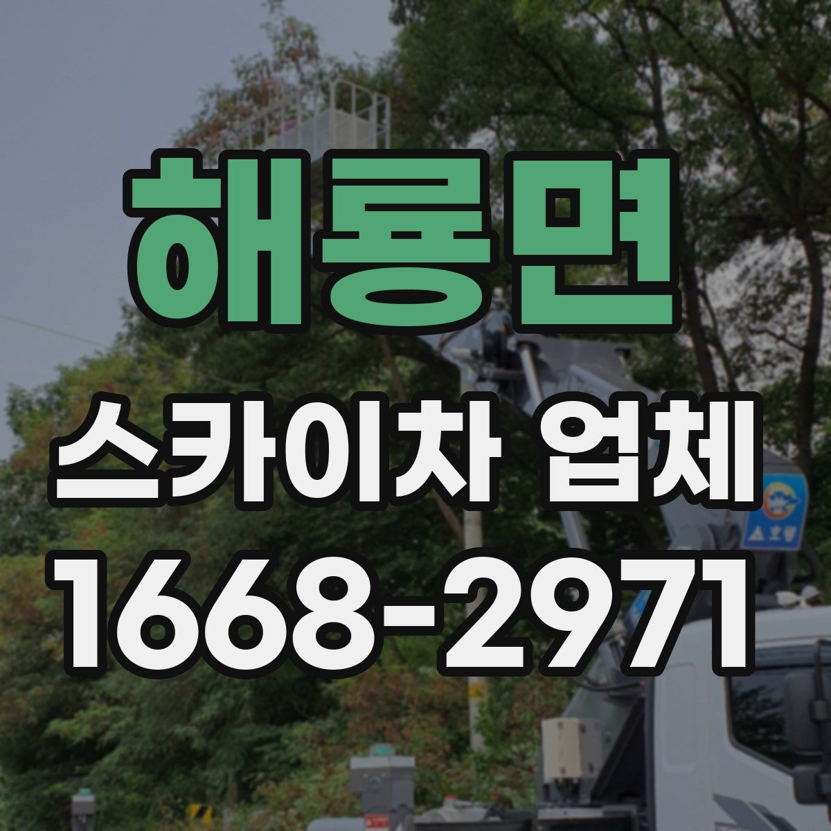 해룡면 스카이차 업체