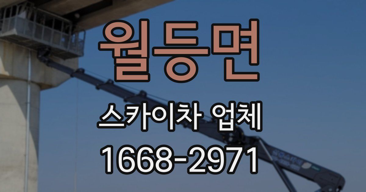 월등면 스카이차 업체