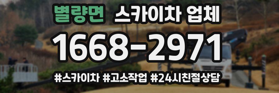 별량면 스카이차 업체