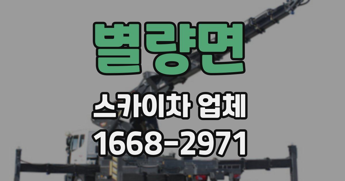 별량면 스카이차 업체