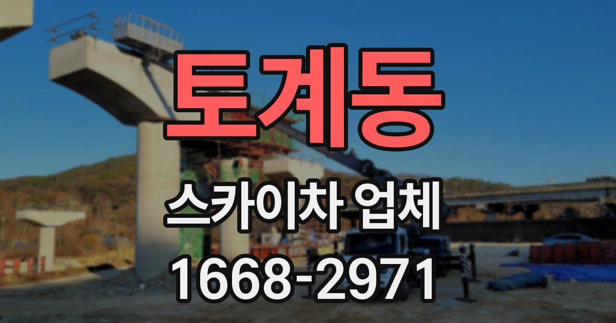 토계동 스카이차 업체