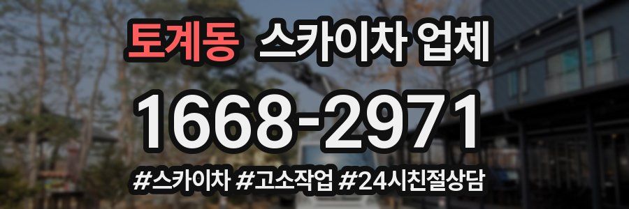 토계동 스카이차 업체