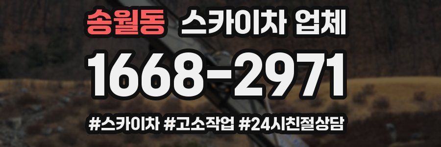송월동 스카이차 업체