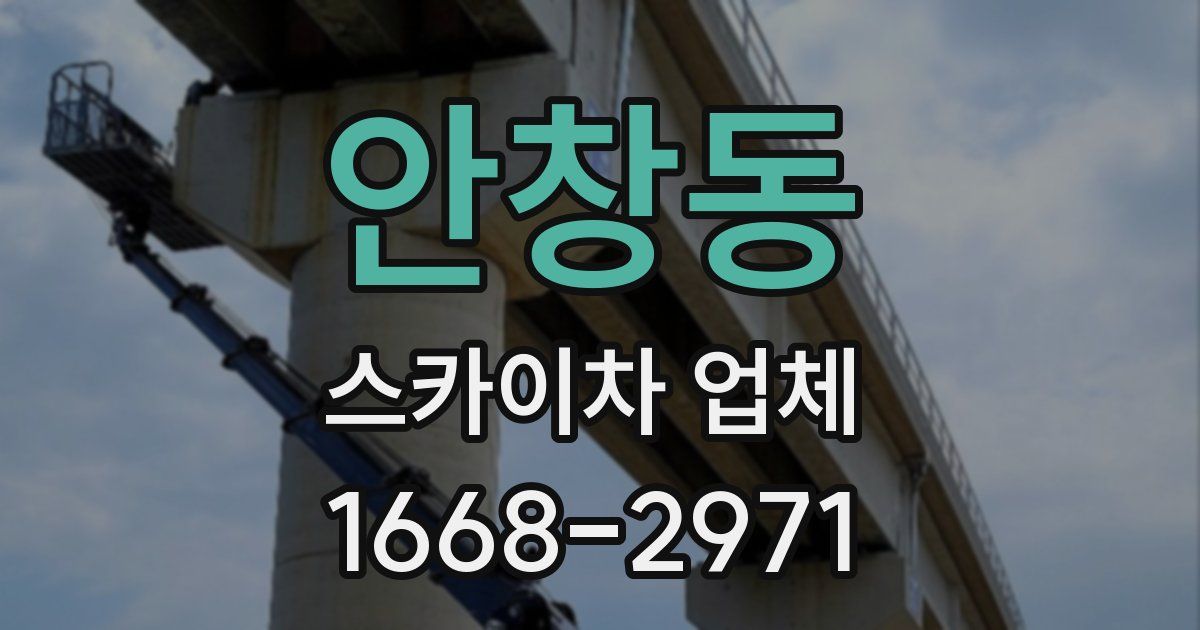안창동 스카이차 업체