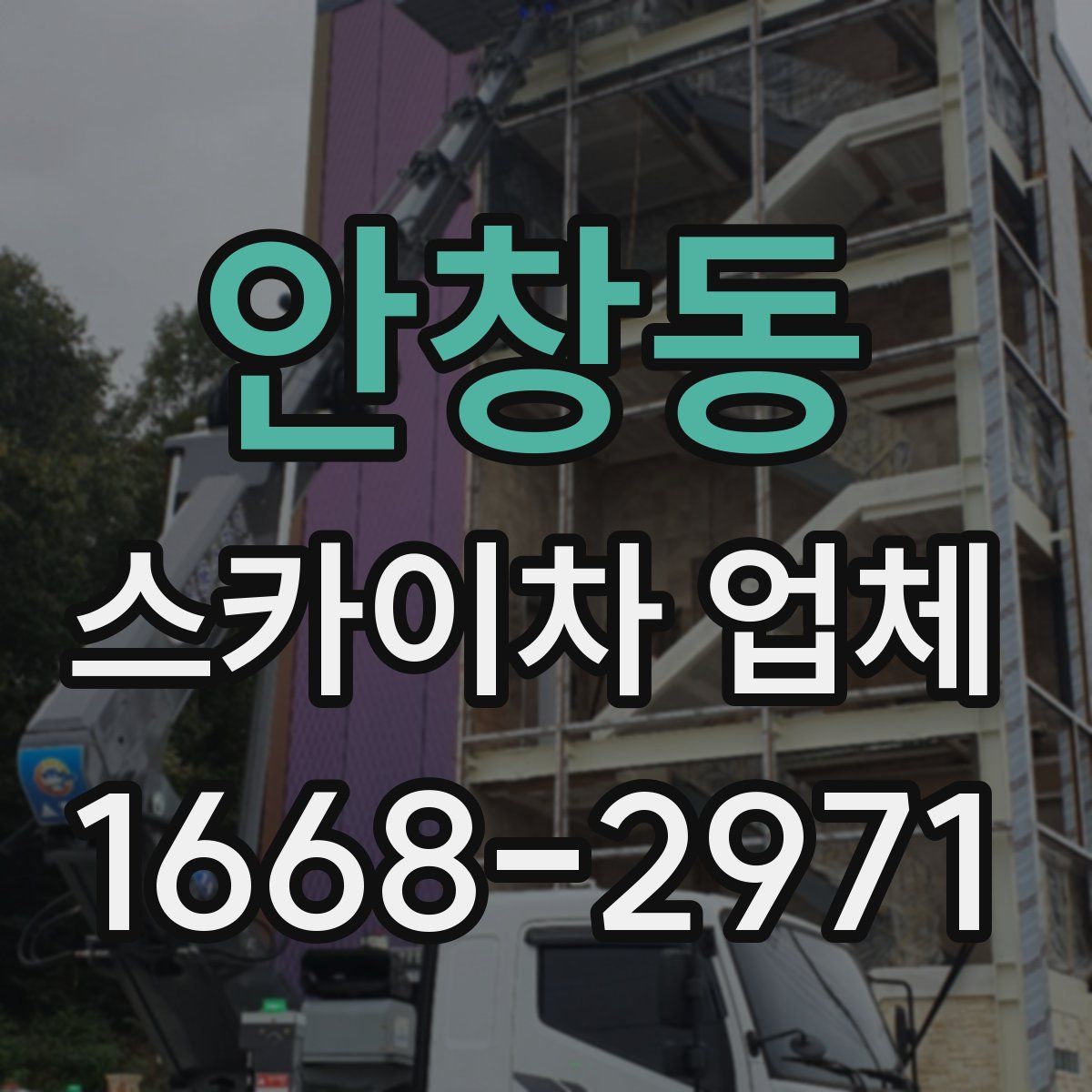 안창동 스카이차 업체