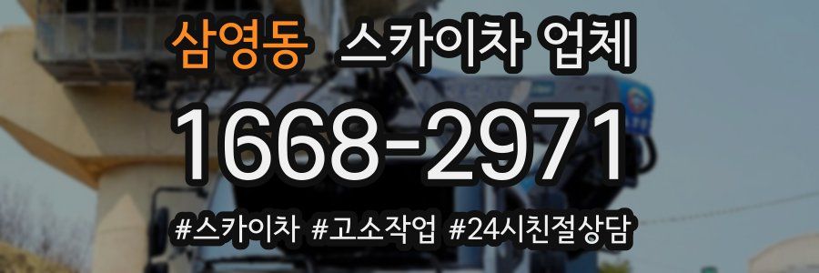 삼영동 스카이차 업체