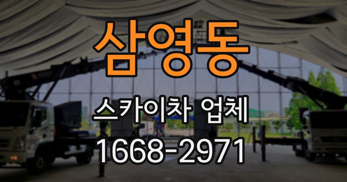 삼영동 스카이차 업체