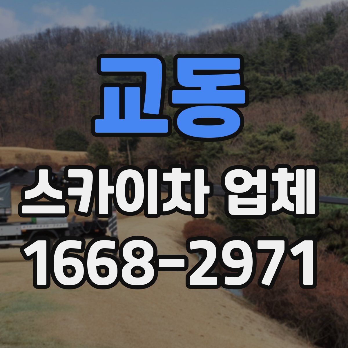 교동 스카이차 업체