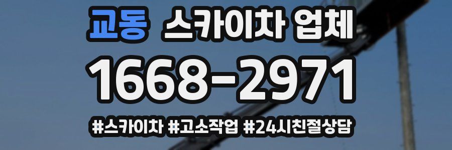 교동 스카이차 업체
