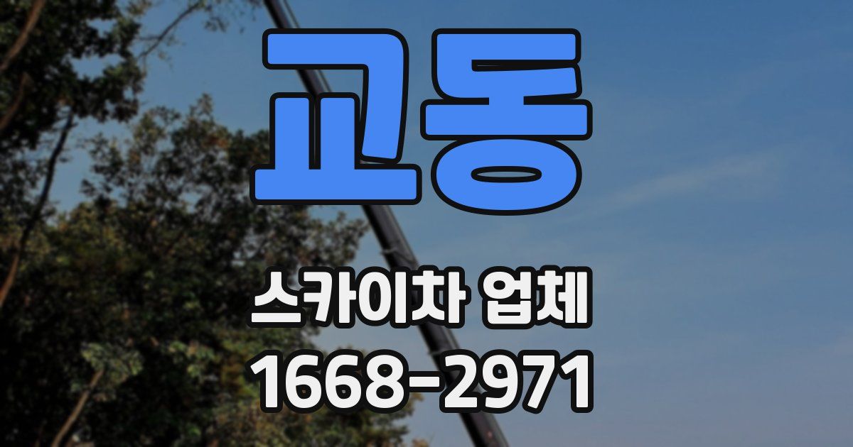 교동 스카이차 업체