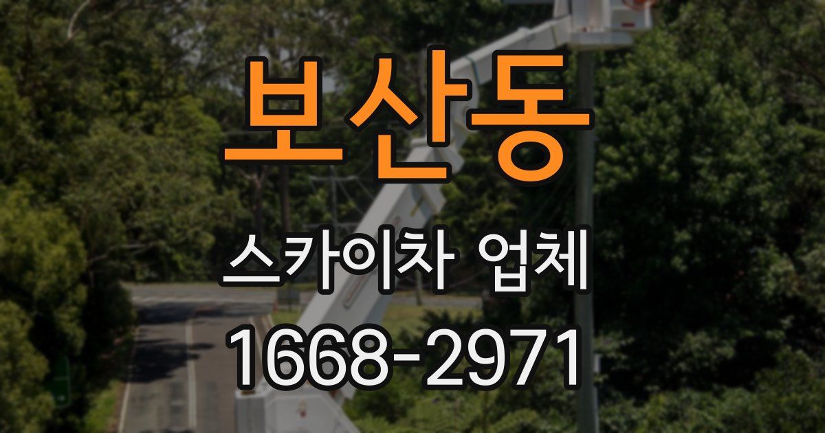 보산동 스카이차 업체