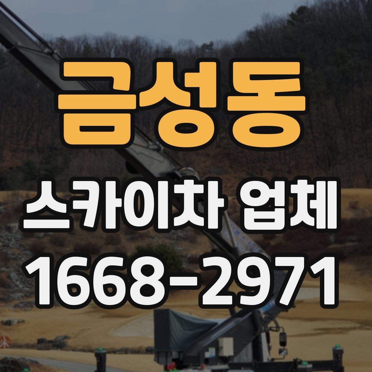금성동 스카이차 업체 비교할 때 자주 묻는 질문